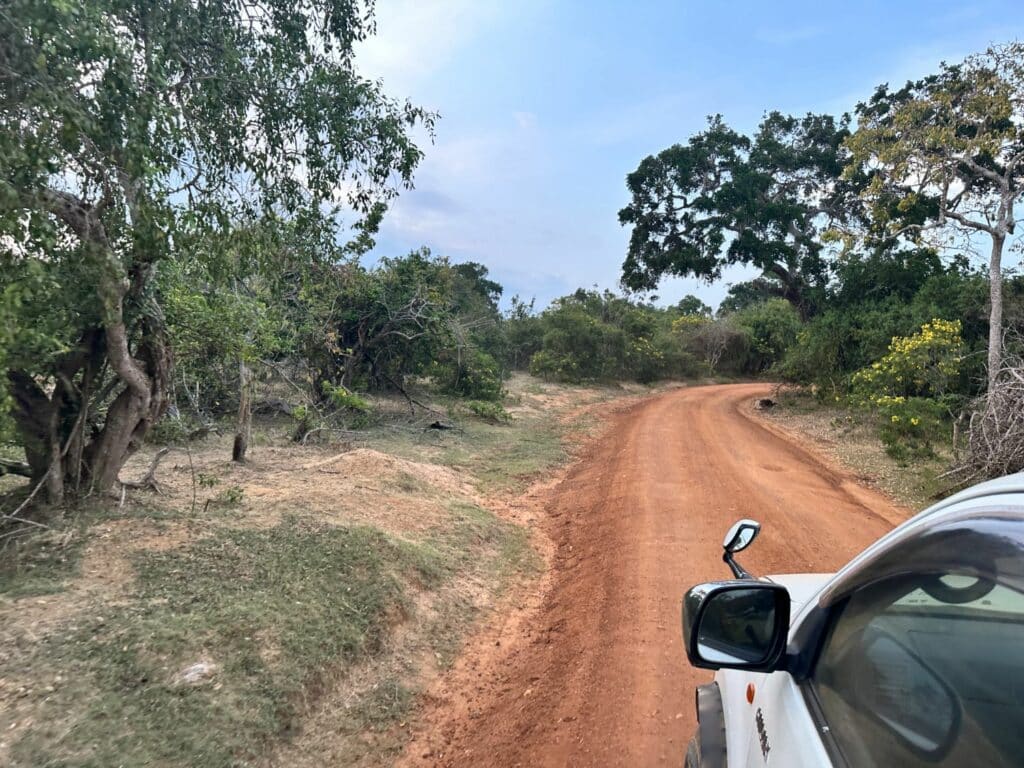 Yala National Park i Sri Lanka