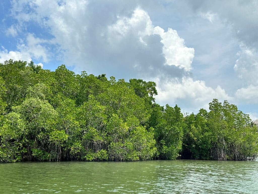 Koggala Lake - Den största sjön på Sri Lanka