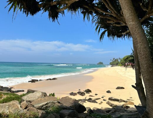 Att göra i Sri lanka