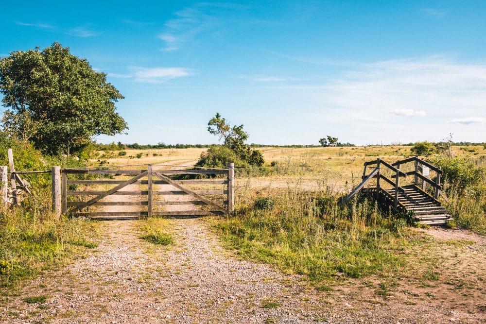 Sommarpratare 2023 - allt om sommar i p1 2023