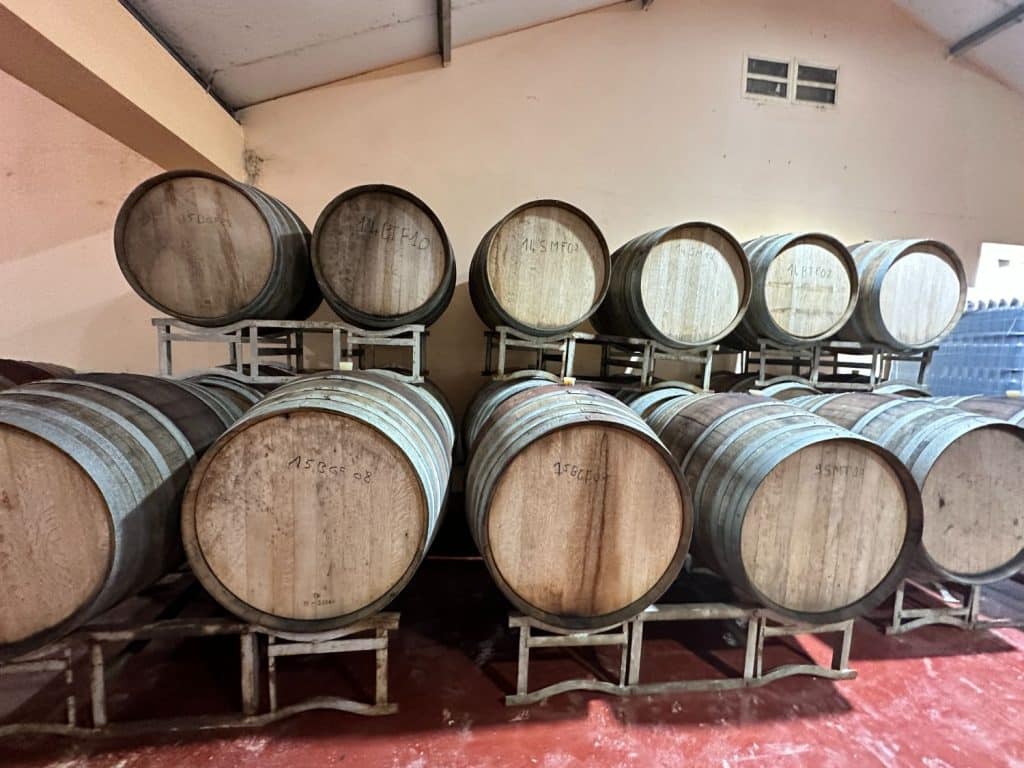 Vinprovning i Tunisien på Domaine Neferis