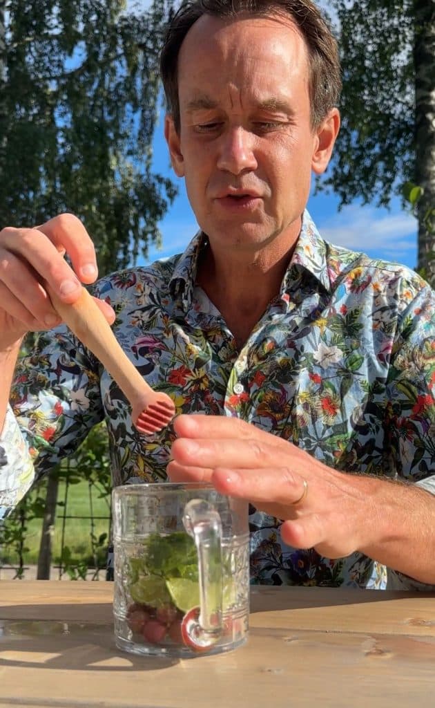 Krusbär Mojito recept