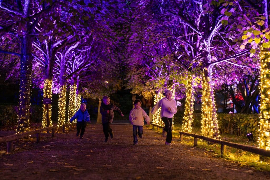 Winter Lights i Stockholm på Skansen