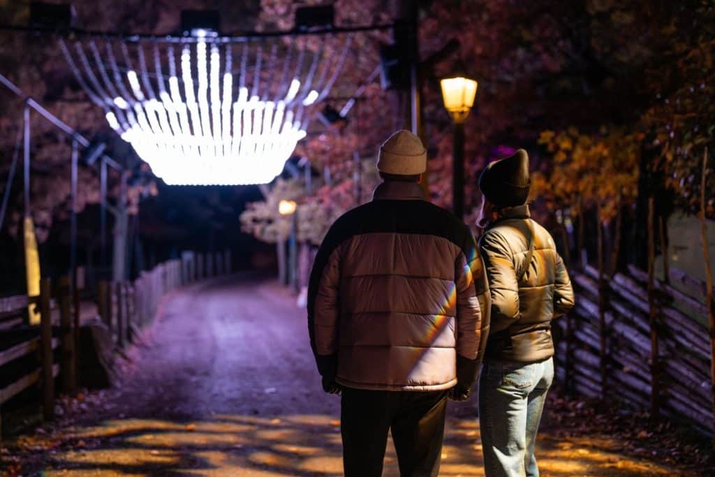 Winter Lights i Stockholm på Skansen