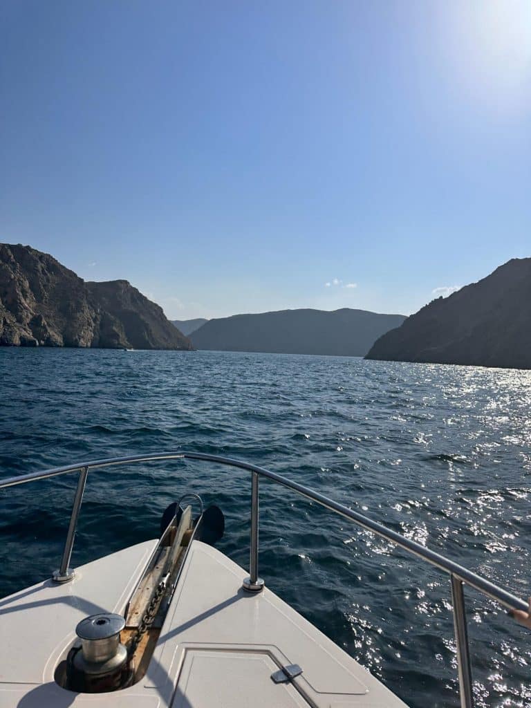 Snorkling med havssköldpaddor