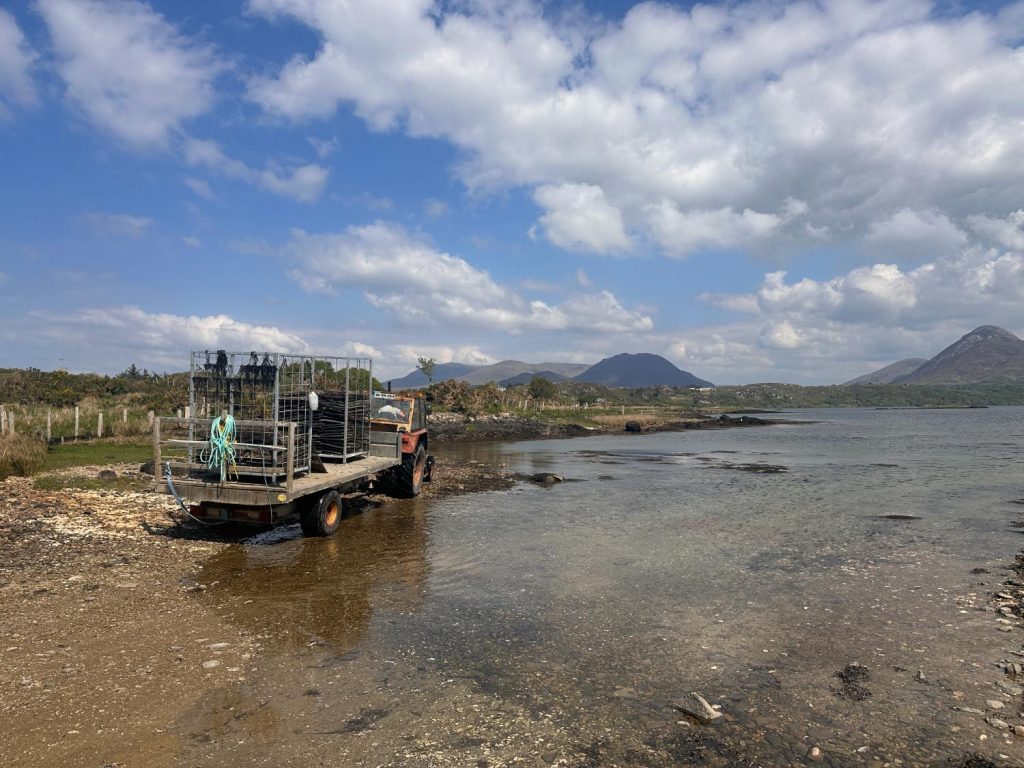 Besök på DK Connemara Oyster Farm