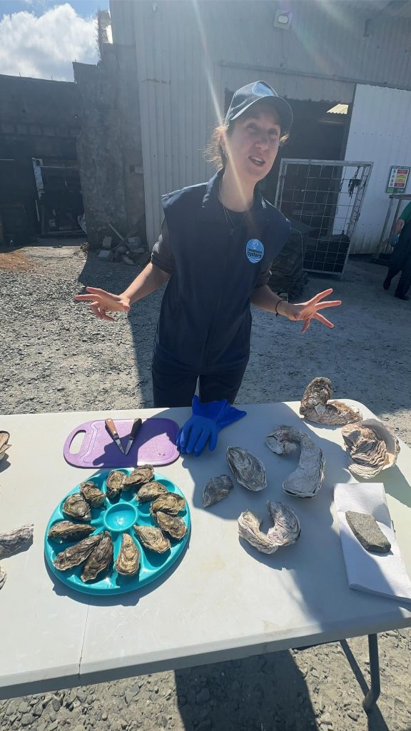 Besök på DK Connemara Oyster Farm – Fakta om ostronodling på Irland