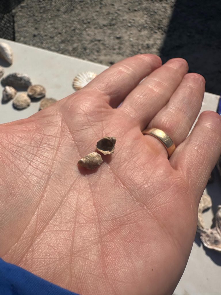 Besök på DK Connemara Oyster Farm – Fakta om ostronodling på Irland