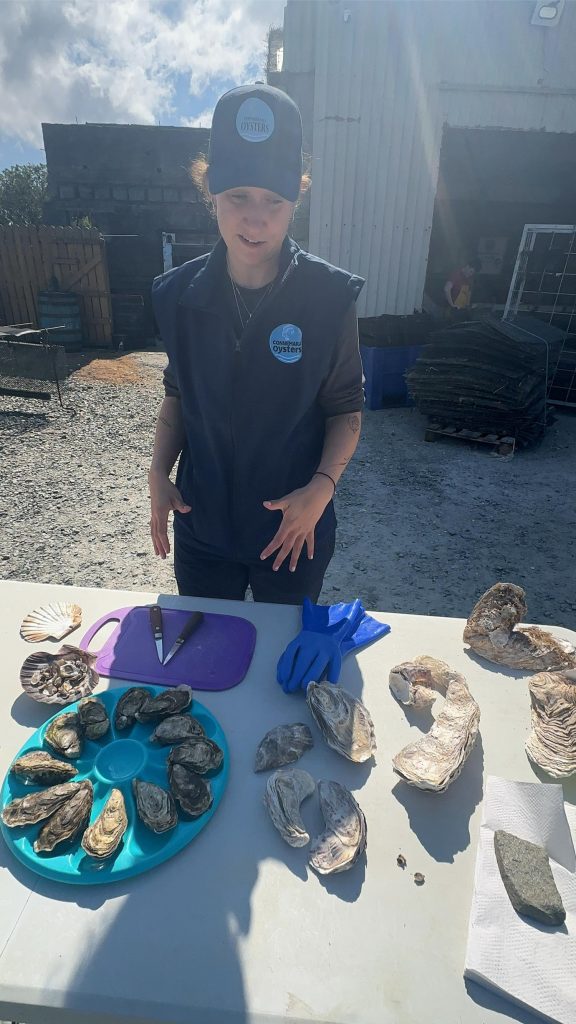 Besök på DK Connemara Oyster Farm – Fakta om ostronodling på Irland