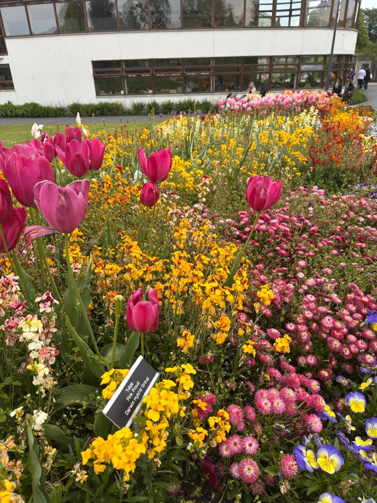 Dublins botaniska trädgård