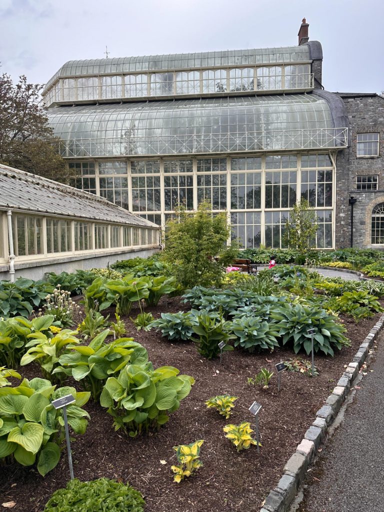Dublins botaniska trädgård