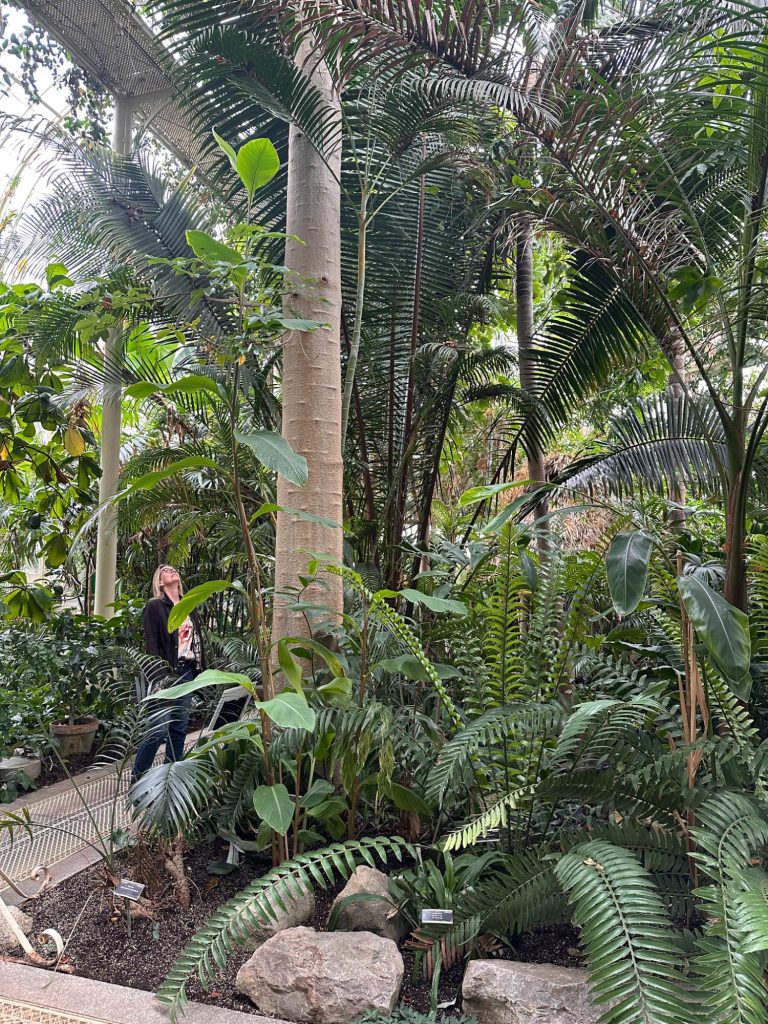 Dublins botaniska trädgård
