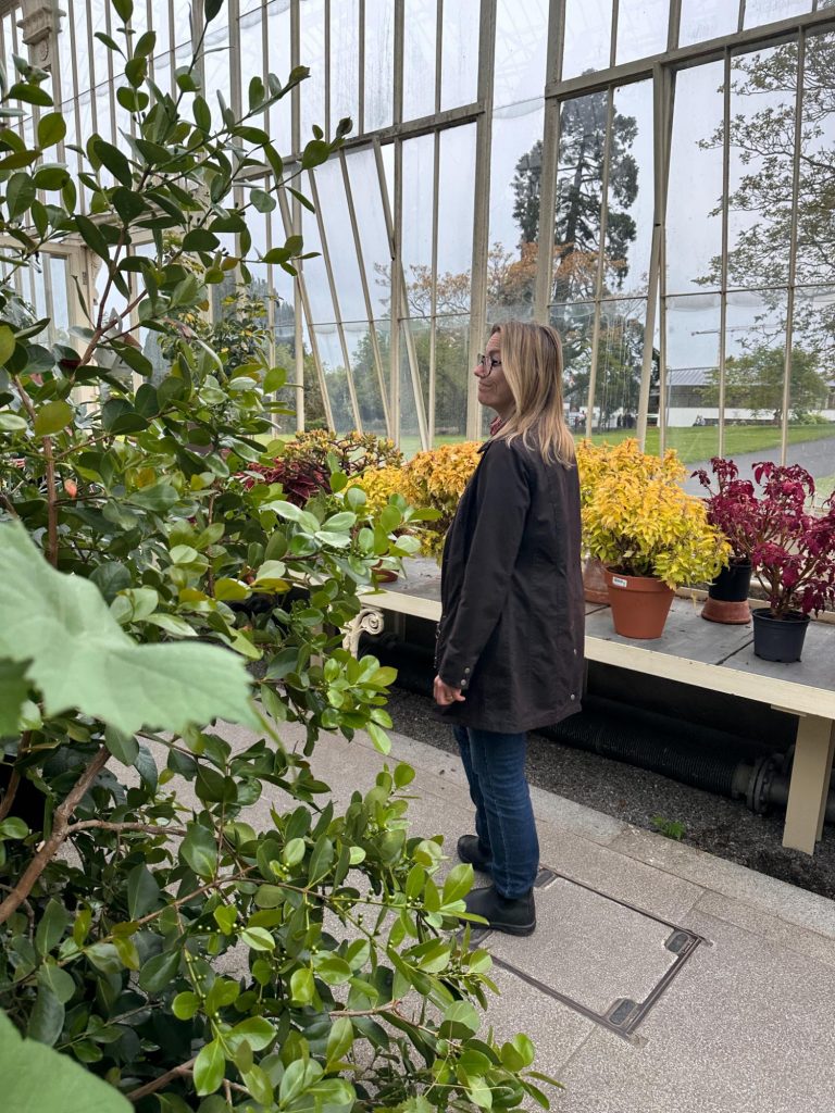Dublins botaniska trädgård